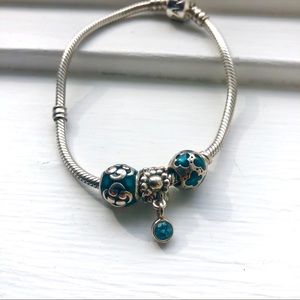 Pandora charms bundle